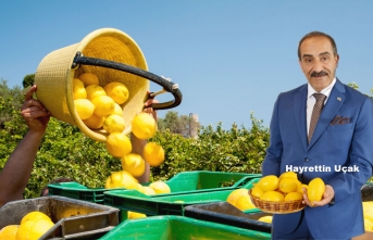 Limonun Önündeki İhracat Engeli Kalktı!