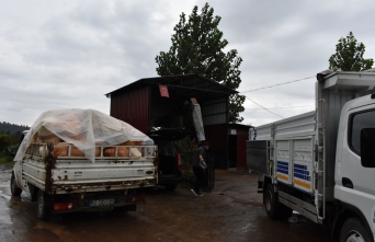 Ordu'da kurulan fındık kurutma üniteleri üreticilerin işini kolaylaştırdı