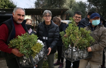 Gökçeada,  “damla sakızı“ üretim merkezi oluyor