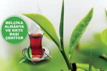 Dünya, Türk Çayının Lezzetini Keşfediyor