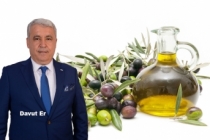 Zeytin ve Zeytinyağı İhracatı Haziranda Yükselişe Geçti