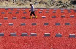 Kilis'te toz biberin kalitesi arttırıldı