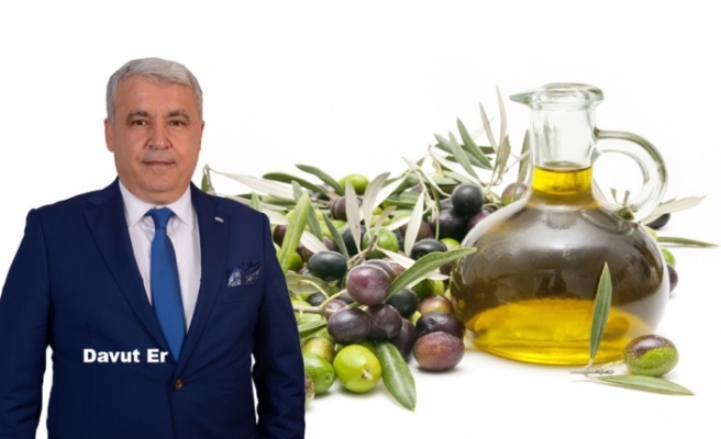 Zeytin ve Zeytinyağı İhracatı Haziranda Yükselişe Geçti