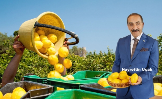 Limonun Önündeki İhracat Engeli Kalktı!